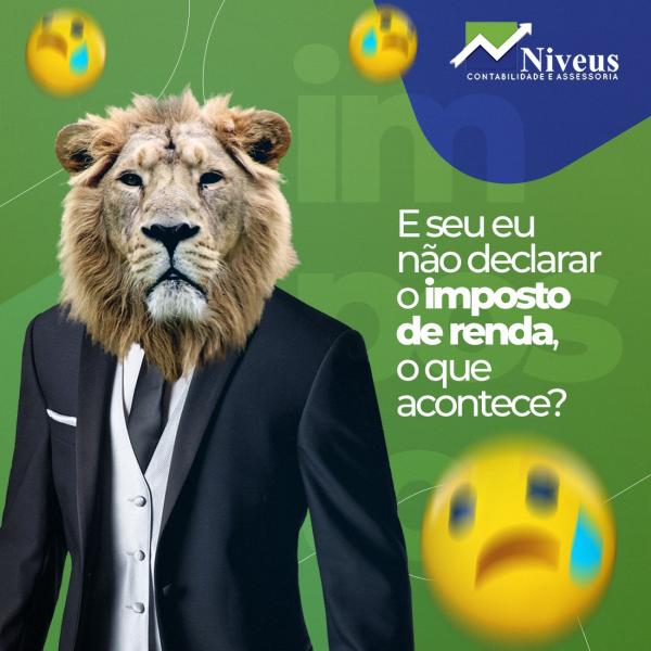 E se eu não declarar o Imposto de Renda, o que acontece?